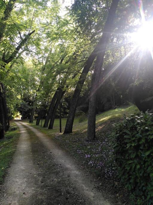 Villa Magnifiques Ecuries Juste Renovees - Domaine De La Mulotiere Langeais Esterno foto
